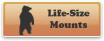 Life-Size Mounts